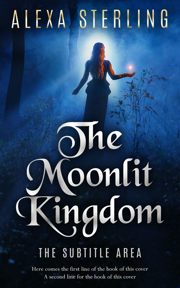 2D view of Premade Fantasy Book Cover - Firefly #37025 | BookCoverZone*