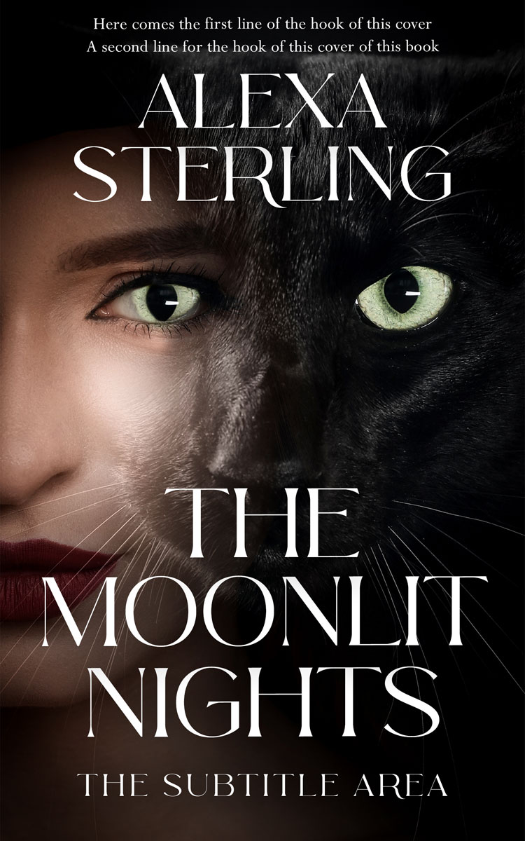 2D view of Premade Paranormal & Urban Book Cover - Cocoa Brown #37090 | BookCoverZone*