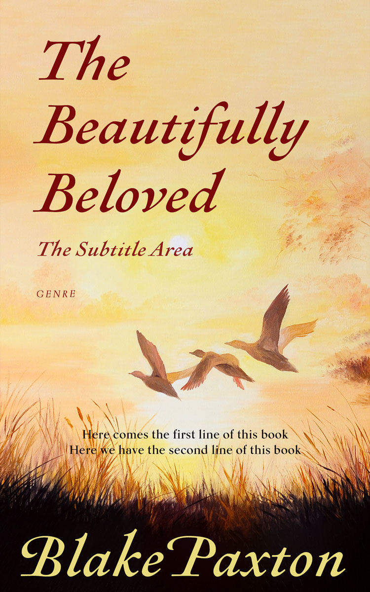 2D view of Premade Literary Fiction Book Cover - Chalky