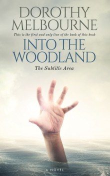 Pre Made Book Cover Moon Mist