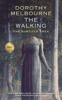 Pre Made Book Cover Ship Gray