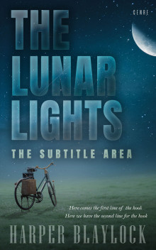 Pre Made Book Cover Blue Dianne