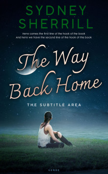 Pre Made Book Cover Firefly