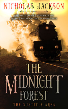 Pre Made Book Cover Eternity