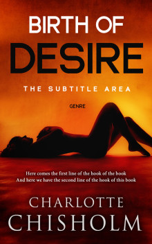 Pre Made Book Cover Rock Spray