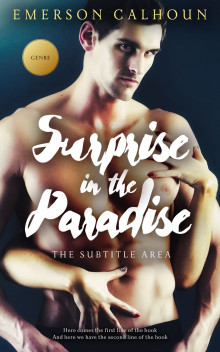 Pre Made Book Cover Akaroa