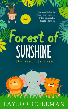 Pre Made Book Cover Sundance