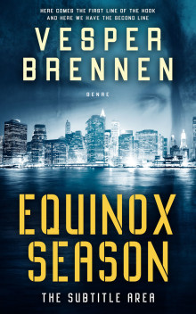 Pre Made Book Cover Winter Hazel