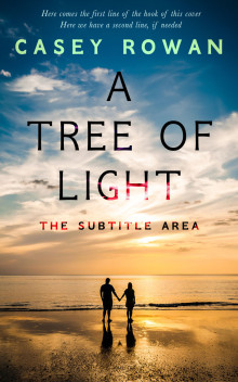 Pre Made Book Cover Rodeo Dust