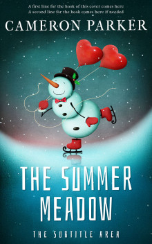 Pre Made Book Cover Blue Dianne