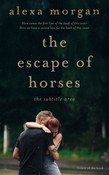 Pre Made Book Cover Aztec