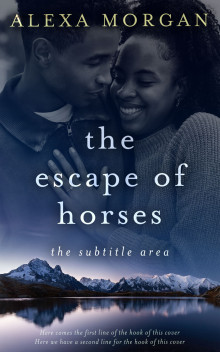 Pre Made Book Cover Big Stone