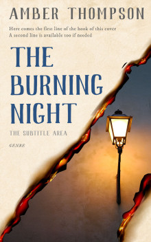 Pre Made Book Cover Janna