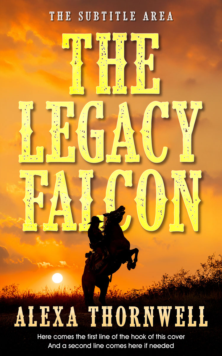 Pre Made Book Cover Brandy Punch