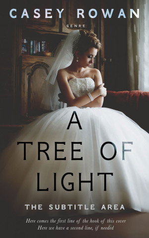 Premade Book Cover Merlin - ID 31920