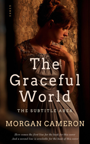 Premade Book Cover Asphalt - ID 33226