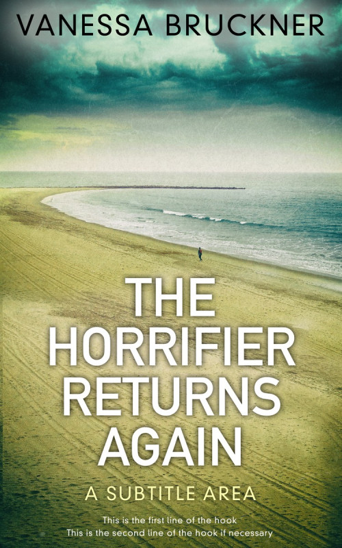 Pre Made Book Cover Hillary