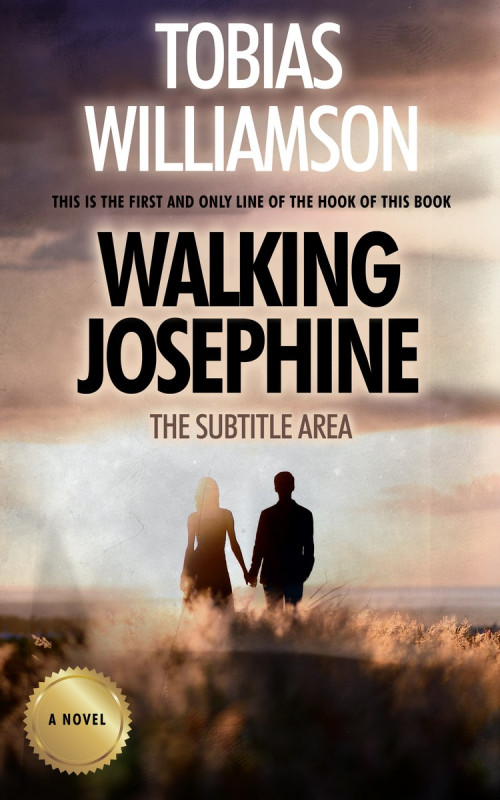 Pre Made Book Cover Rodeo Dust