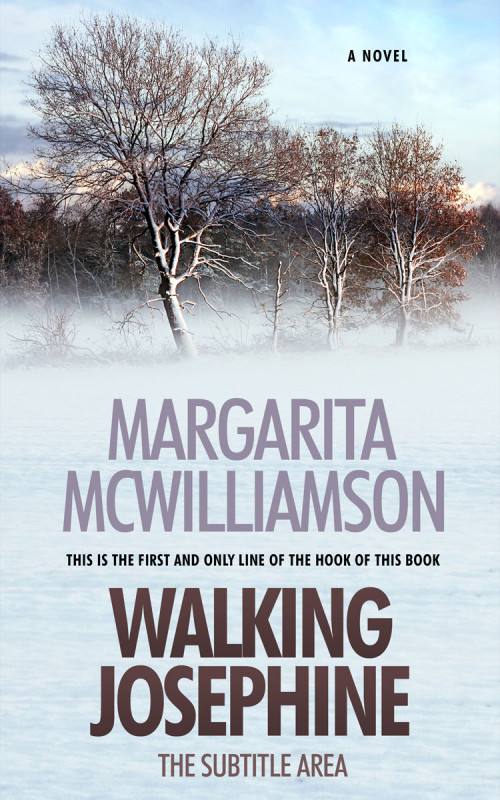 Pre Made Book Cover Mystic