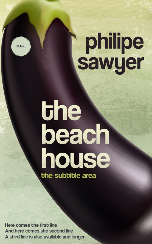 Related Premade Book Cover: Thunder #1358