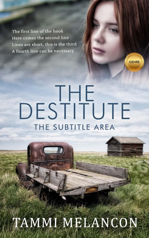 Pre Made Book Cover Silver Sand