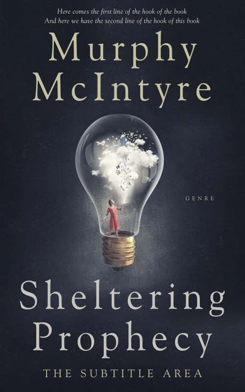 Pre Made Book Cover Charade