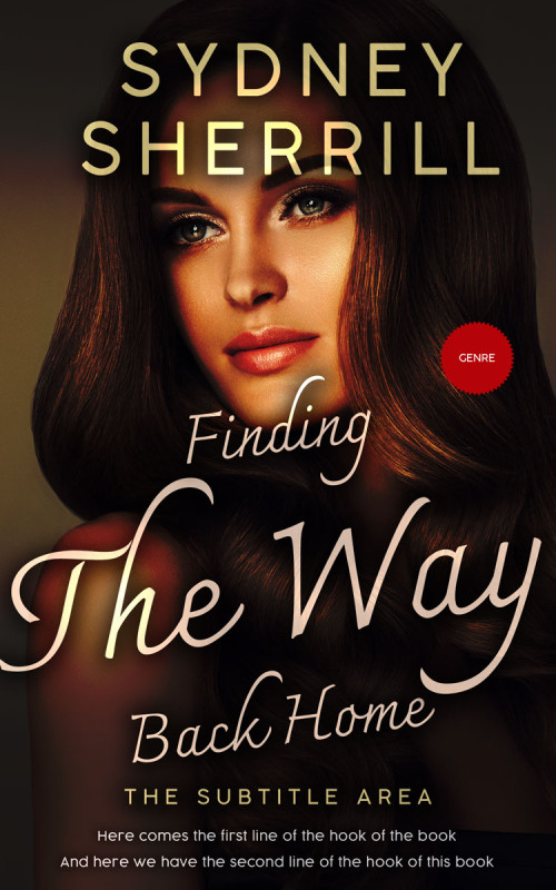 Pre Made Book Cover Night Rider