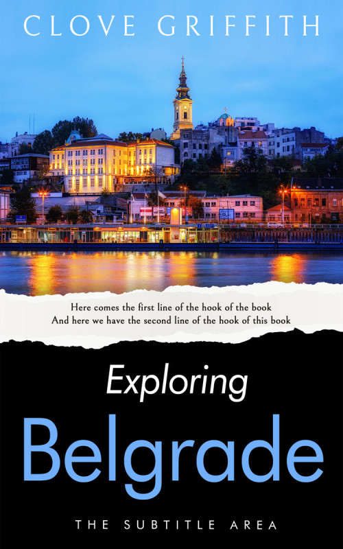 Pre Made Book Cover Malibu