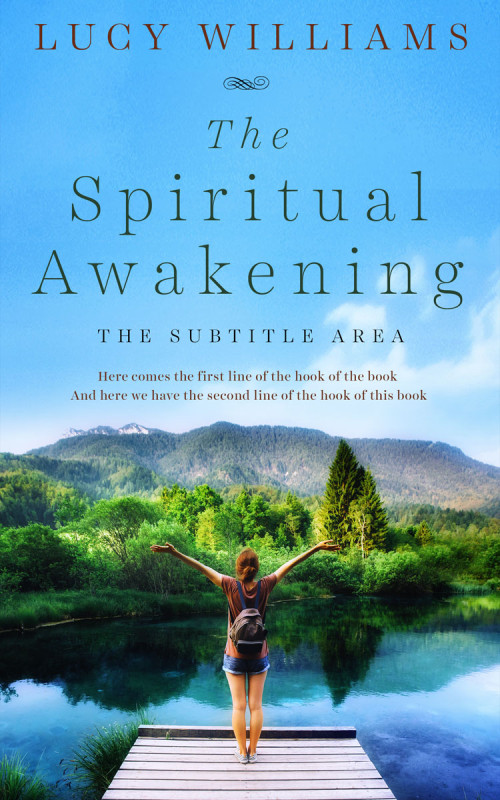 Pre Made Book Cover Seagull