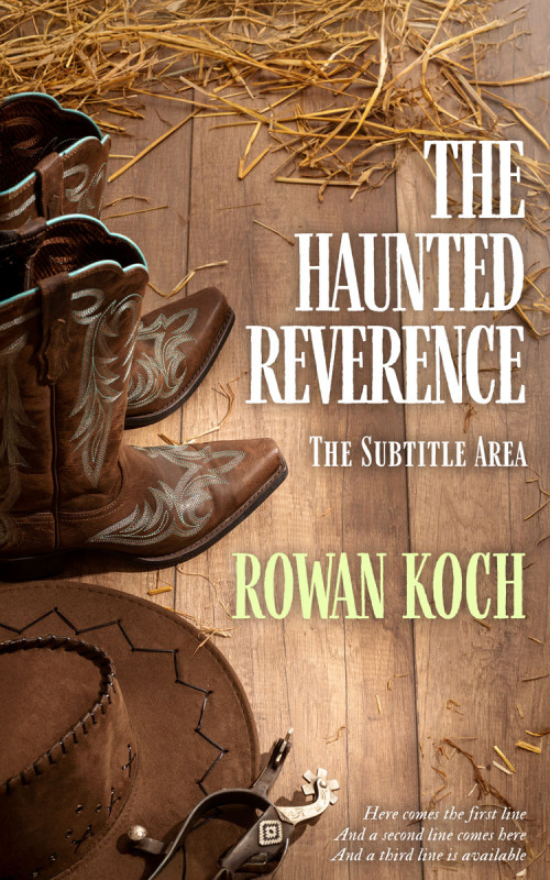 Pre Made Book Cover Spicy Mix