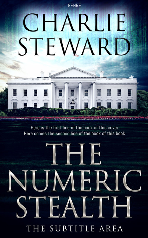 Pre Made Book Cover Ebony