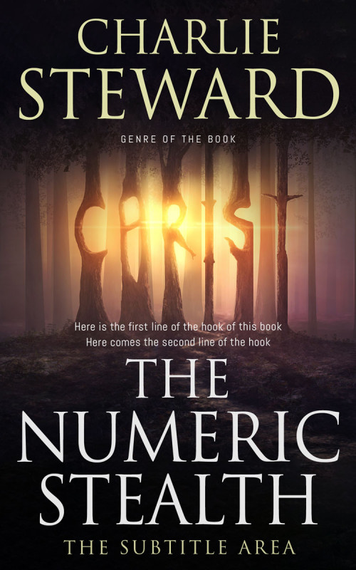 Pre Made Book Cover Straw