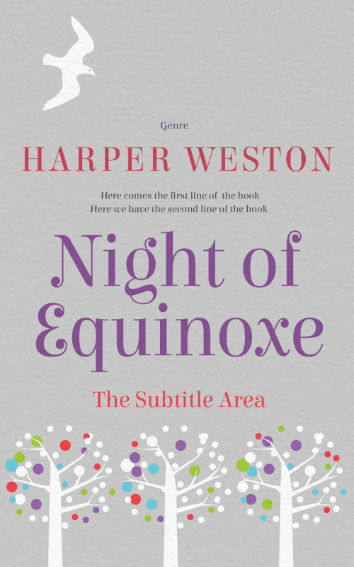 Pre Made Book Cover Silver