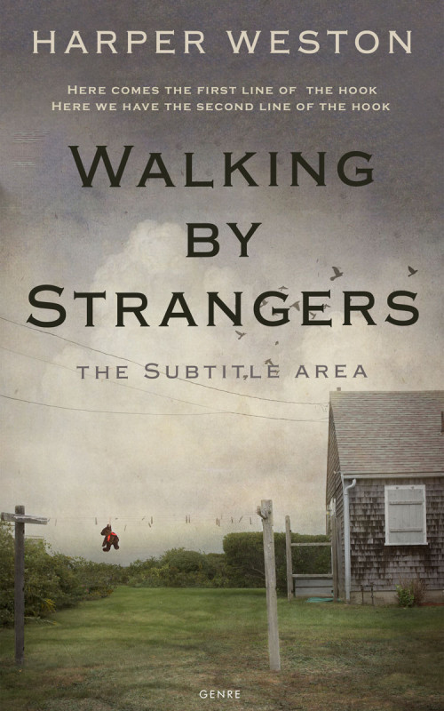 Pre Made Book Cover Flint