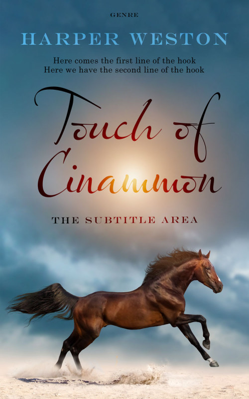 Pre Made Book Cover Blue Bayoux