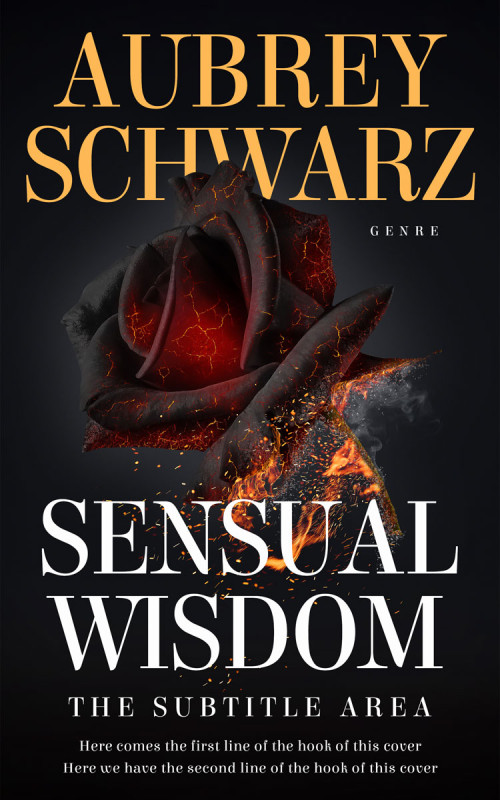 Pre Made Book Cover Thunder