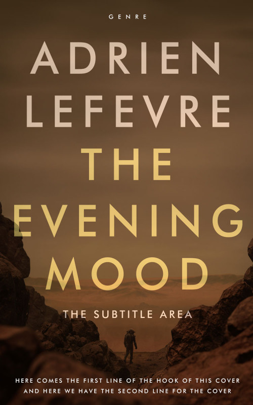 Pre Made Book Cover Quincy