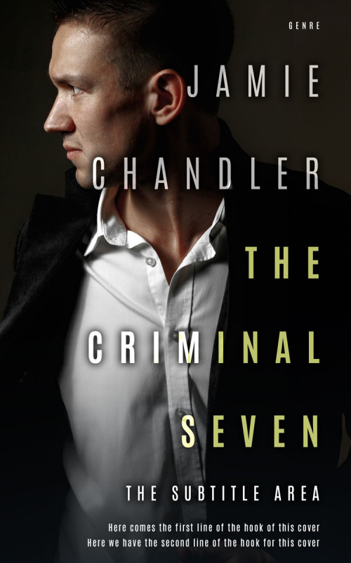 Related Premade Book Cover: Nomad #31470