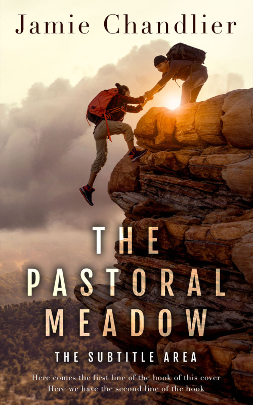 Related Premade Book Cover: Cork #31511