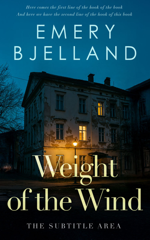 Pre Made Book Cover Aztec