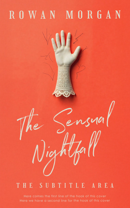 Pre Made Book Cover Flamingo