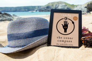 Book cover mockup 1