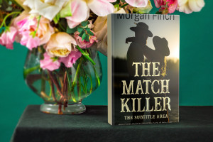Book cover mockup 3
