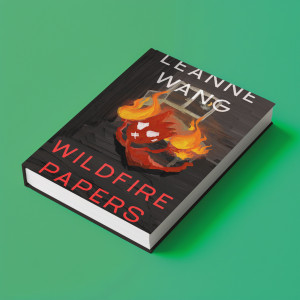 Book cover mockup 3