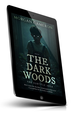 Tablet view of Premade Horror Book Cover - Aztec #33146 | BookCoverZone