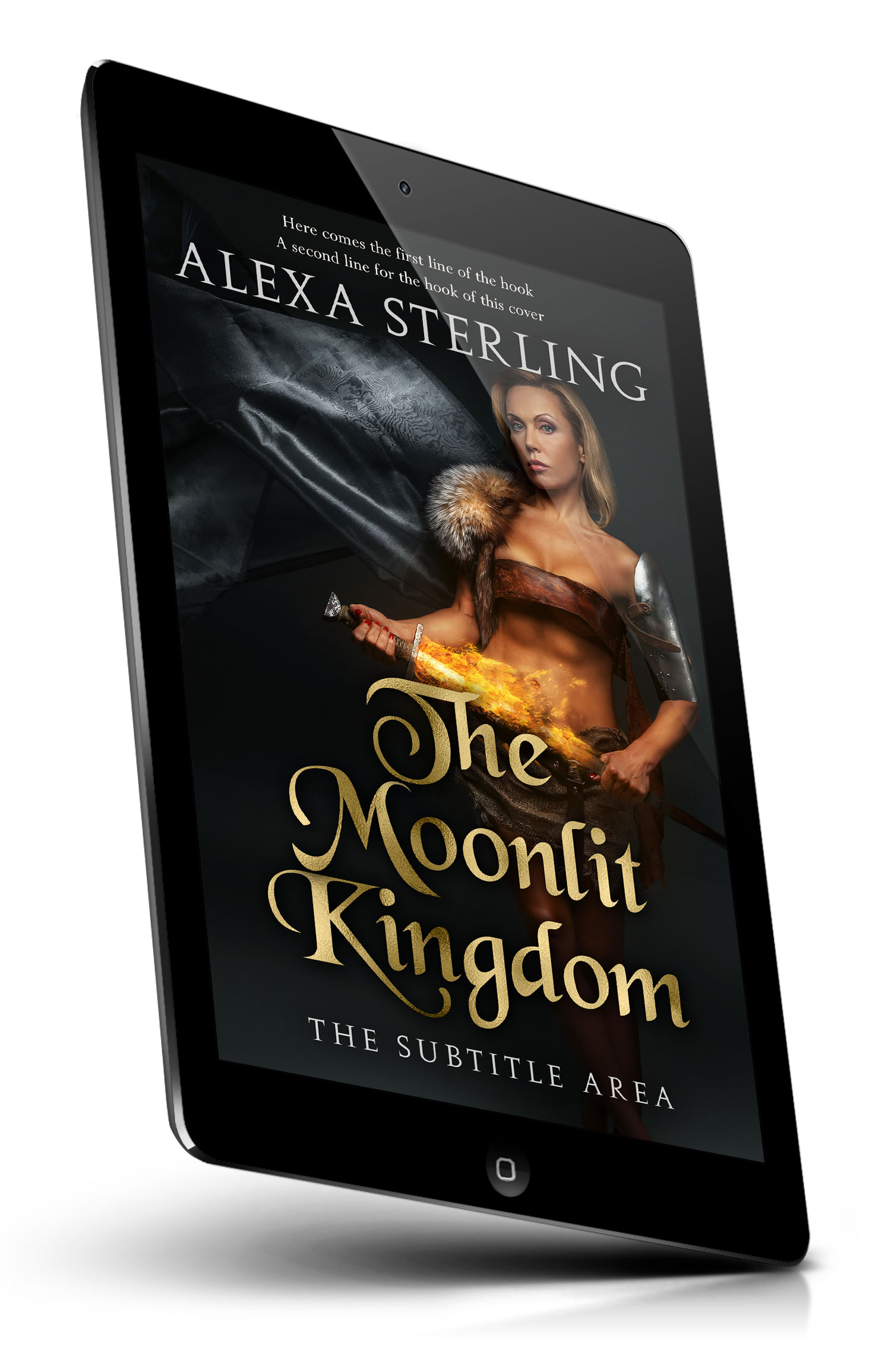 Tablet view of Premade Fantasy Book Cover - Cod Gray #37007 | BookCoverZone*