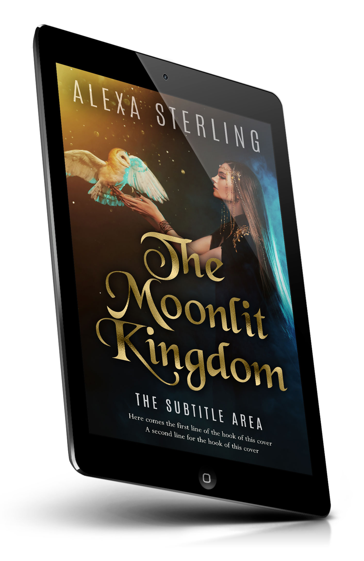 Tablet view of Premade Fantasy Book Cover - Cod Gray #37023 | BookCoverZone*