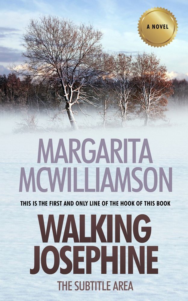 Front view of Botticelli #0731 - Premade Literary Fiction Book Cover | BookCoverZone