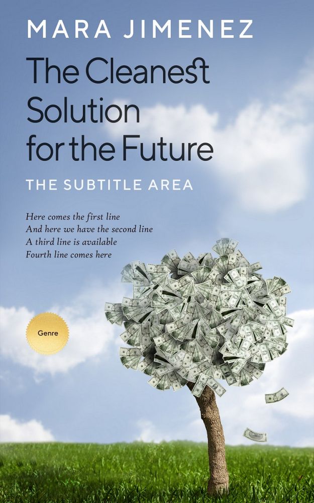 Front view of Rock Blue #3560 - Premade Business Book Cover | BookCoverZone