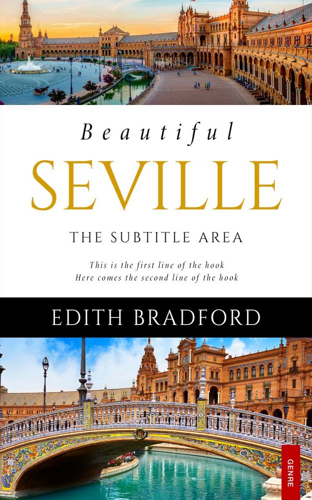 Front view of Bison Hide #5323 - Premade Travel Book Cover | BookCoverZone